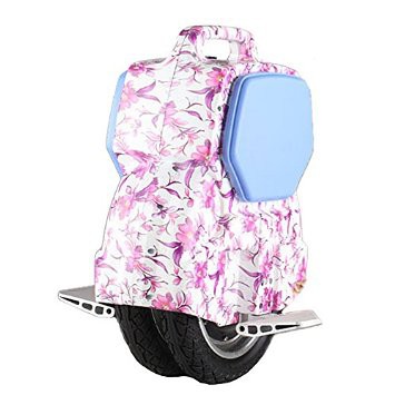 Saluko Self-Balancing Electric Unicycle Twin Wheel 210WH 35KM Electric Scooter Flower Pattern